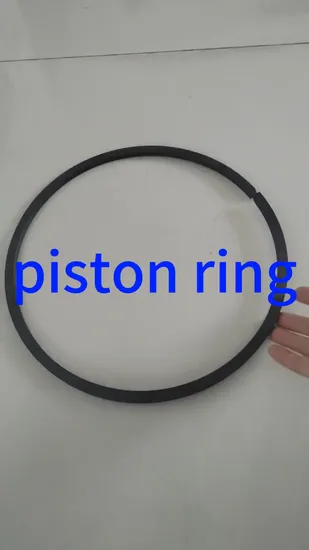 Reciprocating Piston Process Air Compressor Piston Ring